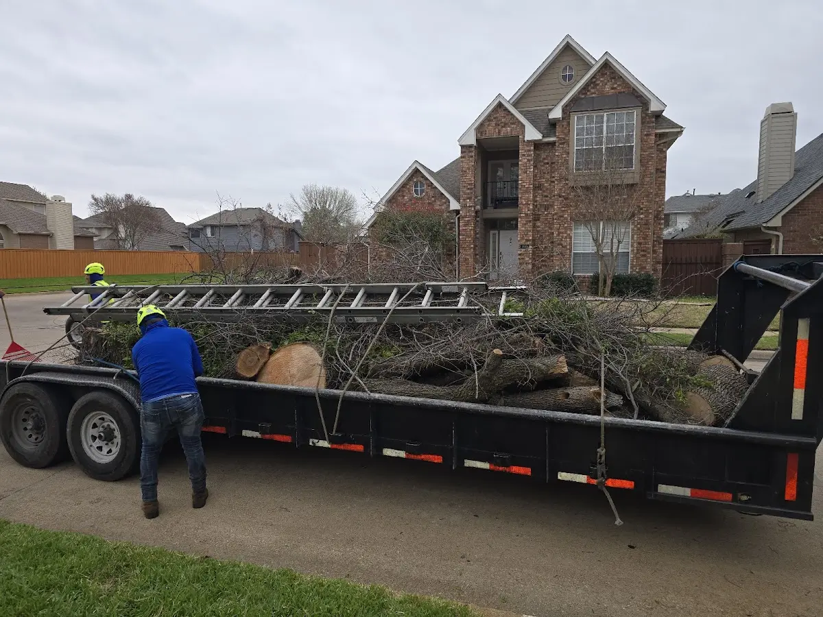 Expert Tree Fertilization with proper safety equipment in New Kingston